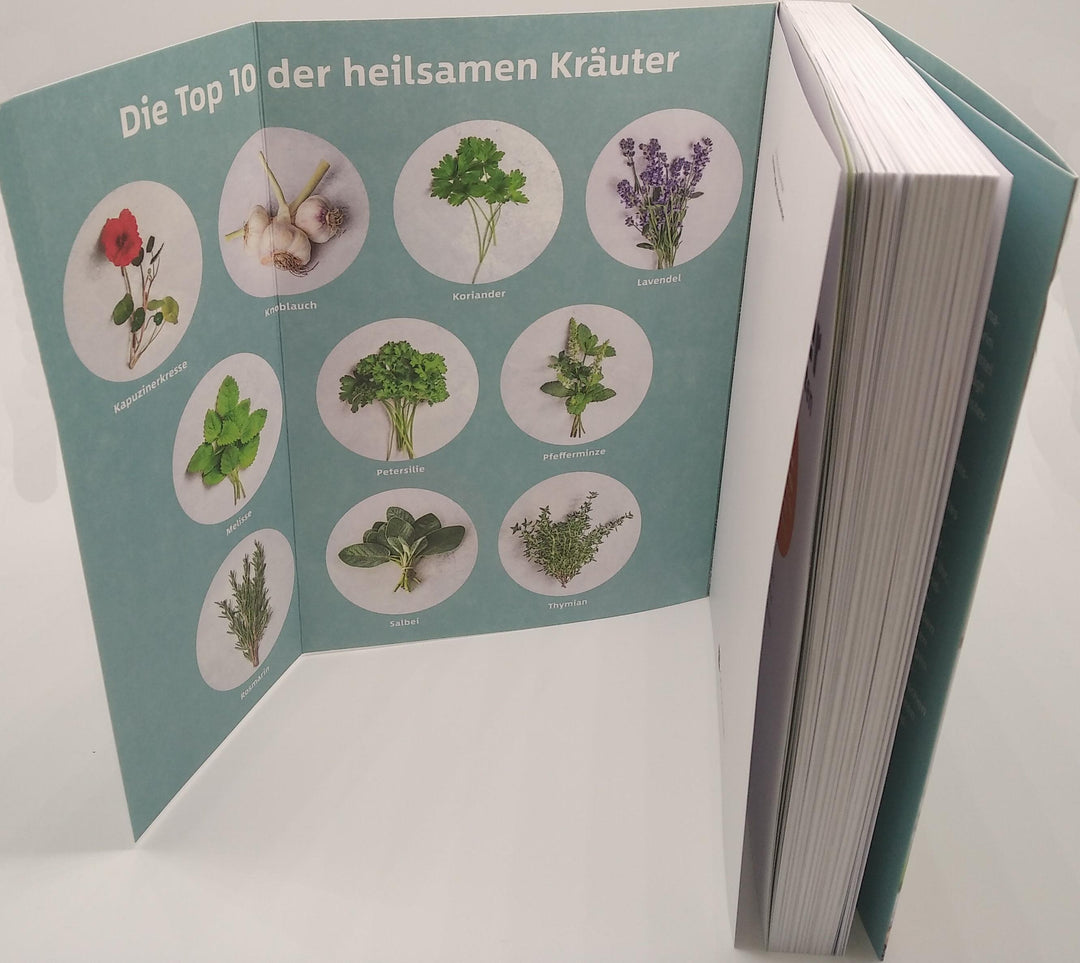 10 Kräuter gegen 100 Krankheiten | Rubin, Franziska