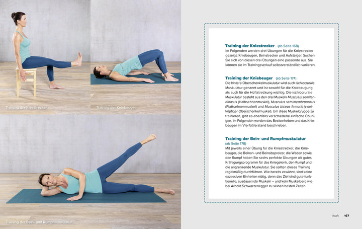 Nicht übers Knie brechen | Steckel, Hanno