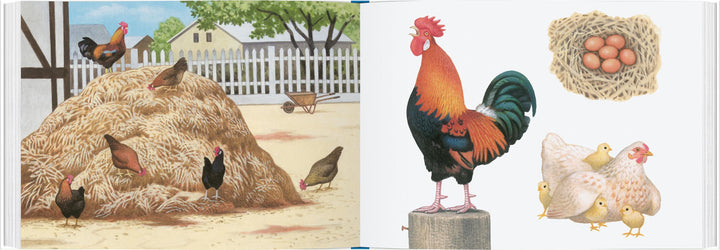 Tiere auf dem Bauernhof | Müller, Thomas