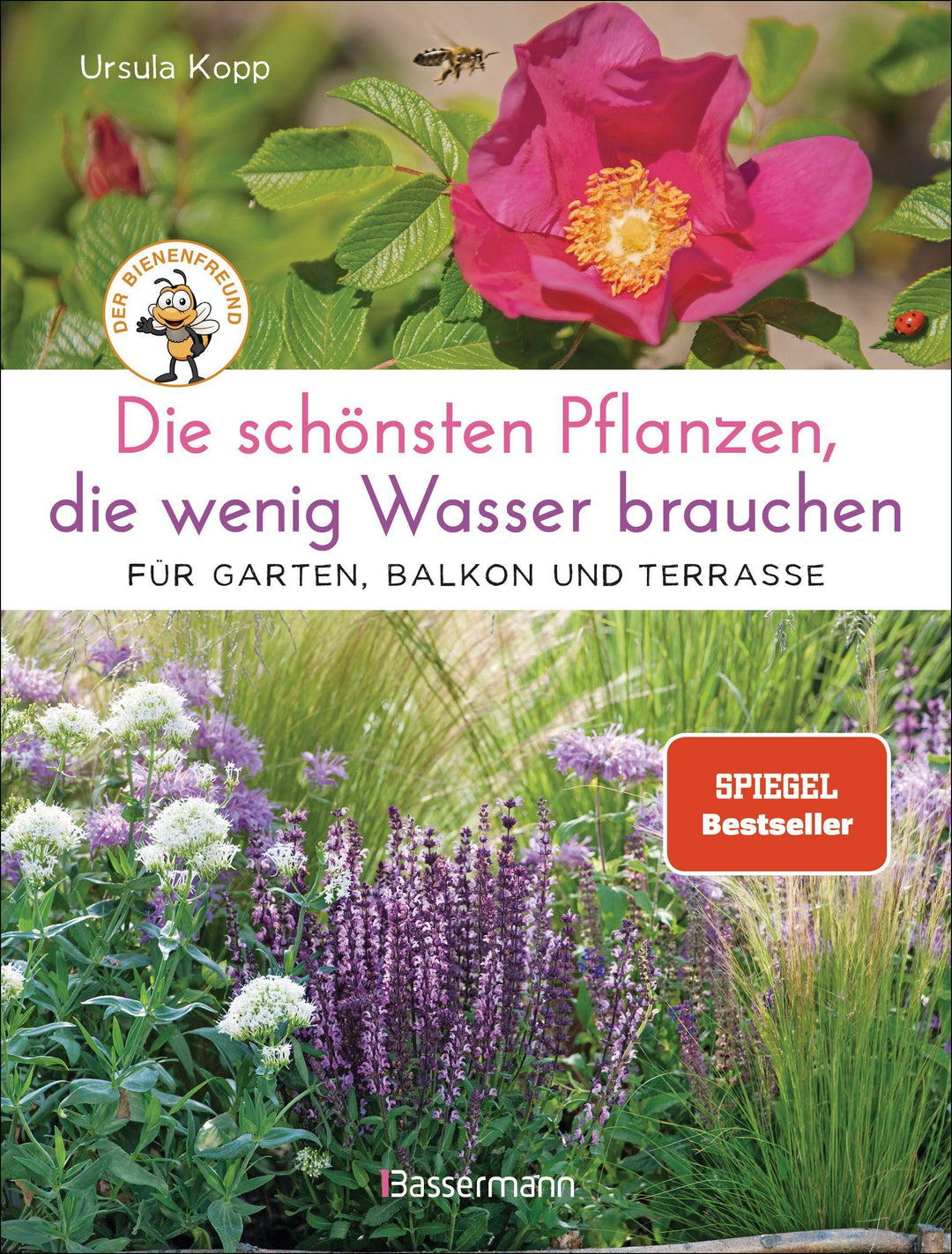 Die schönsten Pflanzen, die wenig Wasser brauchen für Garten, Balkon und Ter...