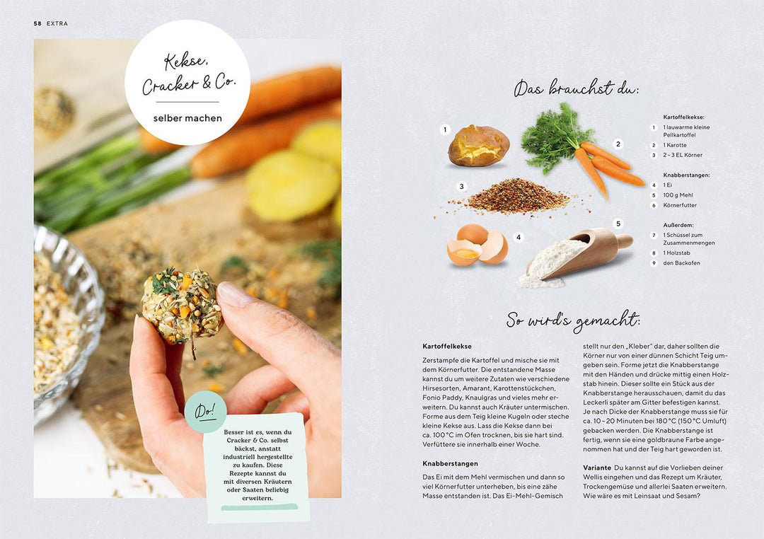 Wellensittiche | Schacht, Wencke Sabrina