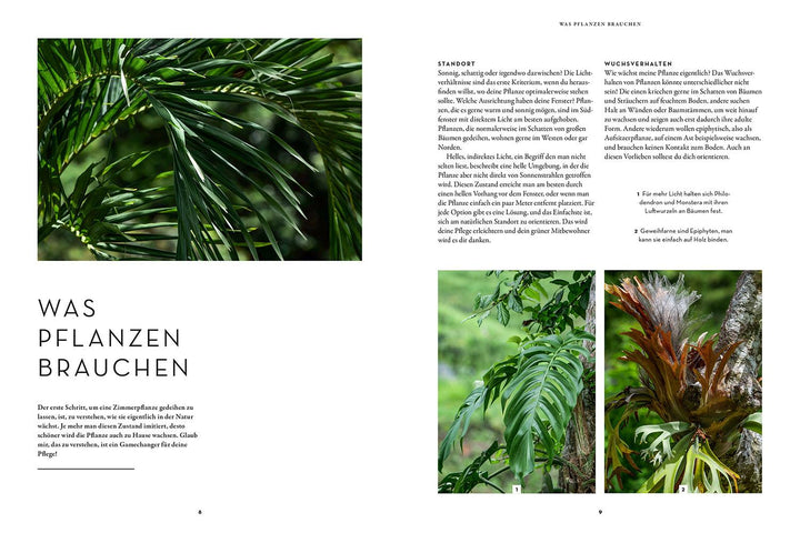 Zimmerpflanzenliebe | Hartwich, Antonia