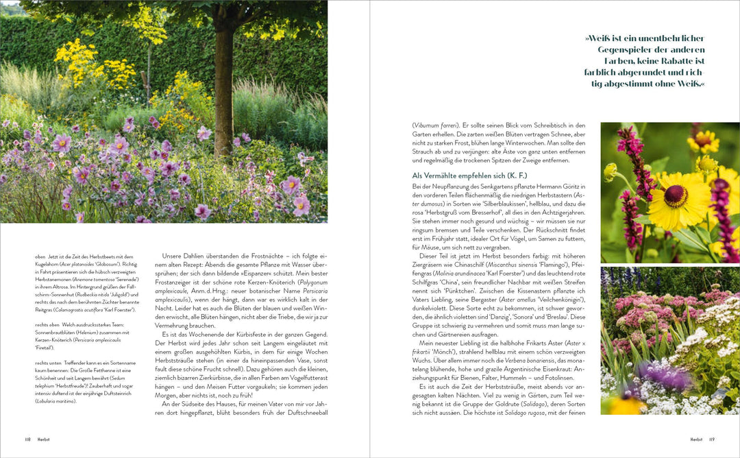 Der Garten meines Vaters Karl Foerster | Foerster, Marianne