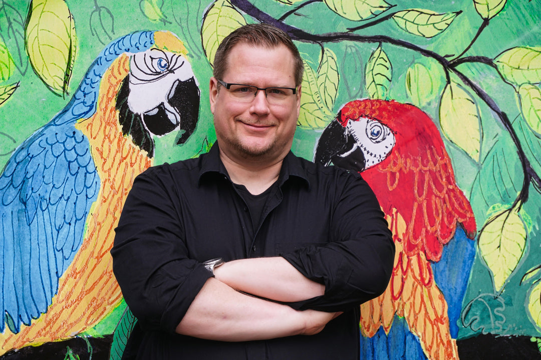 Lichtstreife und Arschtritte | Grimm, Imre