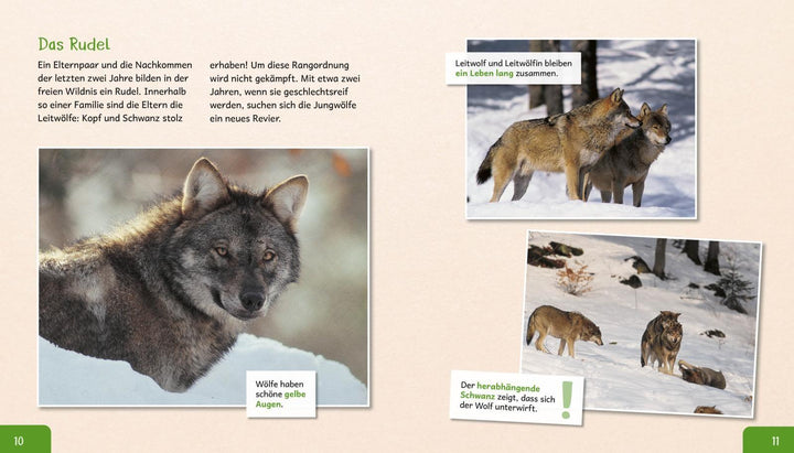 Meine große Tierbibliothek: Der Wolf | Havard, Christian