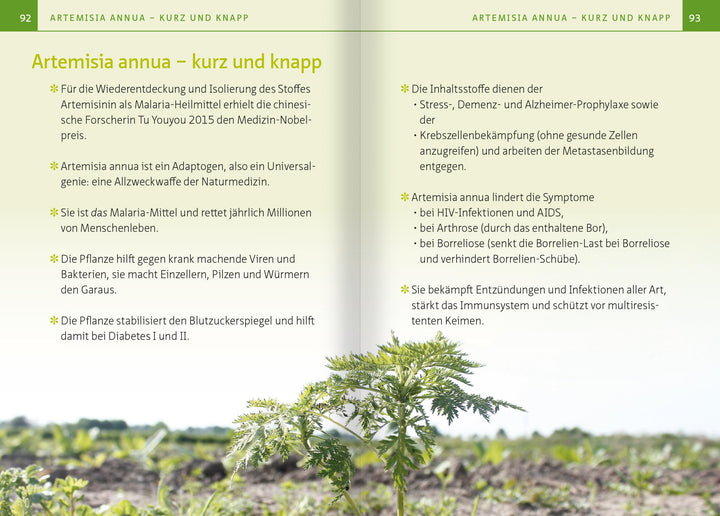 Artemisia annua - Heilpflanze der Götter. Kompakt-Ratgeber | Simonsohn, Barbara