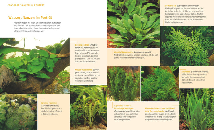 Das Aquarium | Gutjahr, Axel