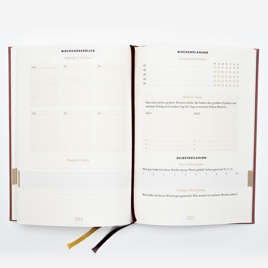 Das 6-Minuten-Erfolgsjournal (mittelblau) | Spenst, Dominik