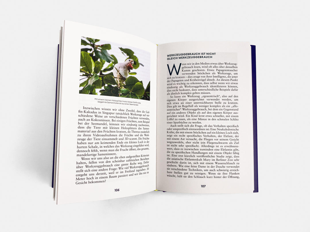 Der Erfindergeist der Tiere | Auersperg, Alice