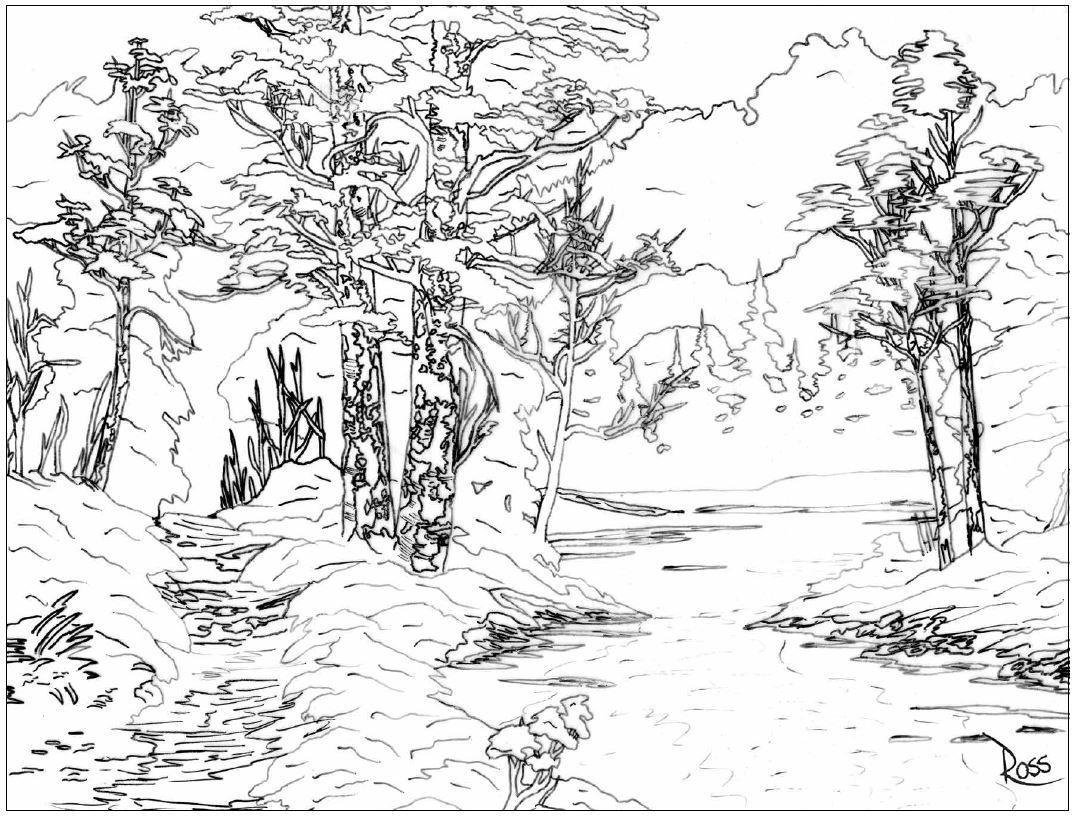 Das Ausmalbuch. | Ross, Bob