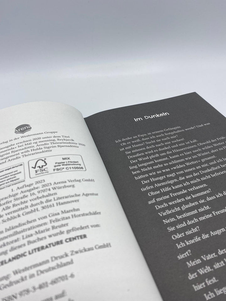 12 Stockwerke. Mein unglaubliches Zuhause am Ende der Welt | Thórarinsdóttir...