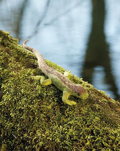 Filzen von heimischen Tieren | Reinhard, Rotraud