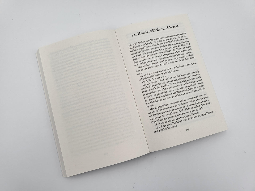 Das Auge der Wüste | Schwartz, Richard