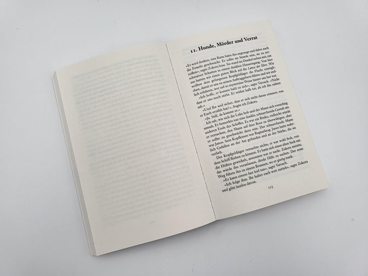 Das Auge der Wüste | Schwartz, Richard