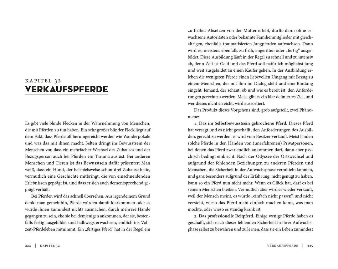 Wahre Freundschaft mit Pferden | Seib, Catherin