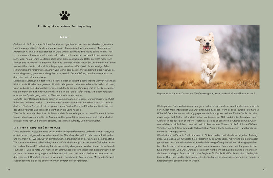 Mein Herz schlägt Hund | Marioth, Katharina