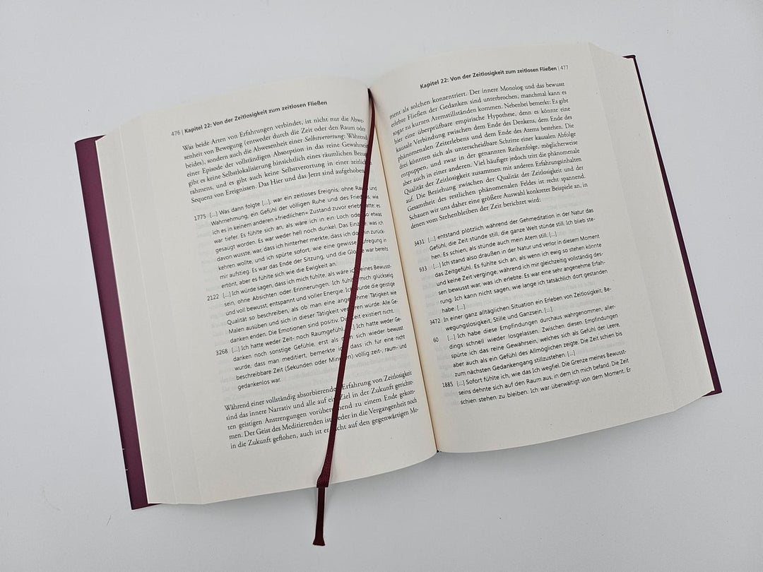 Der Elefant und die Blinden | Metzinger, Thomas