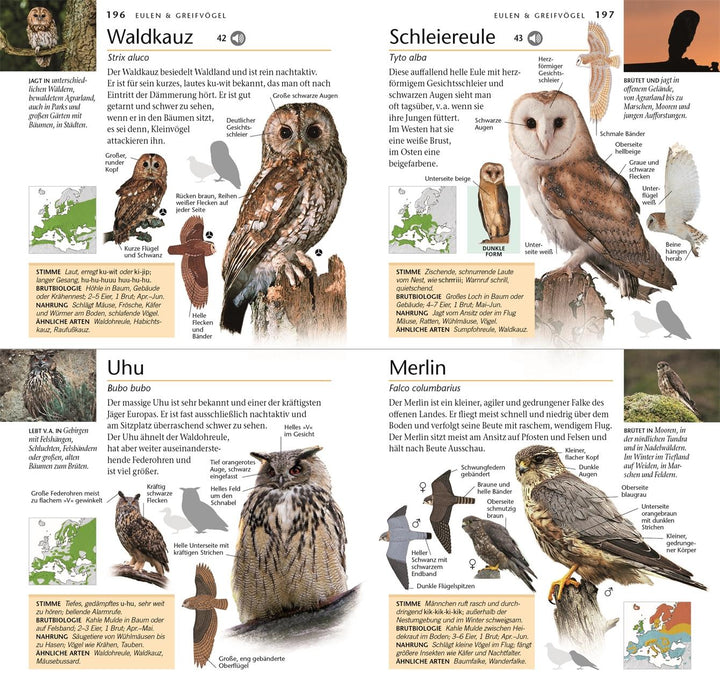 Vögel | Elphick, Jonathan | Woodward, John