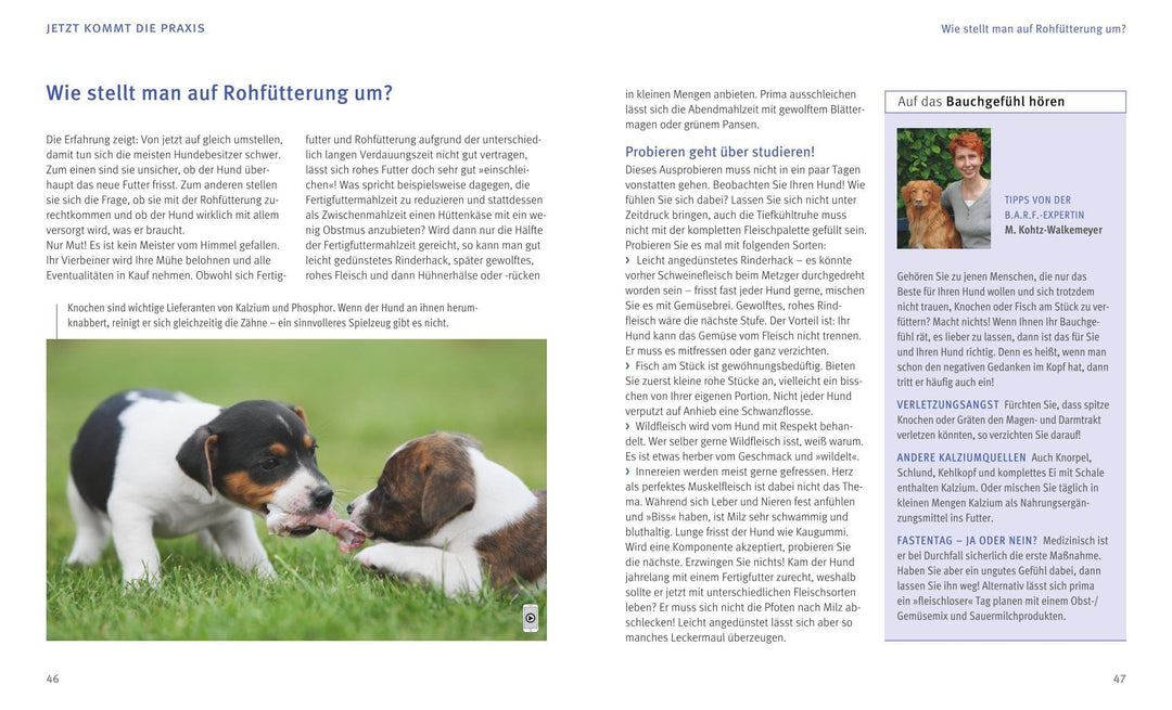 BARF für Hunde | Kohtz-Walkemeyer, Marianne