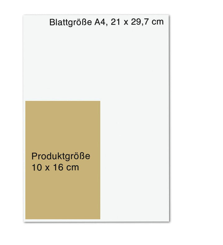 Die 7-Minuten-Detox-Kur | Rubin, Franziska