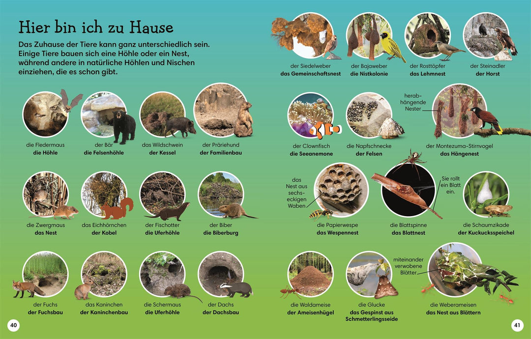 1000 erste Wörter. Tiere | Pottle, Jules