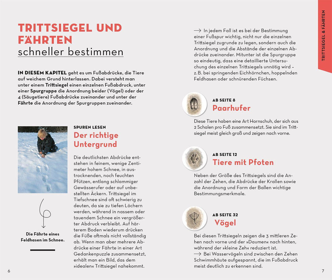 BASIC Tierspuren | Hecker, Frank