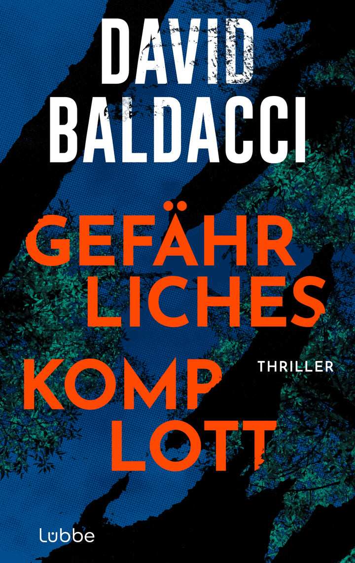 Gefährliches Komplott | Baldacci, David