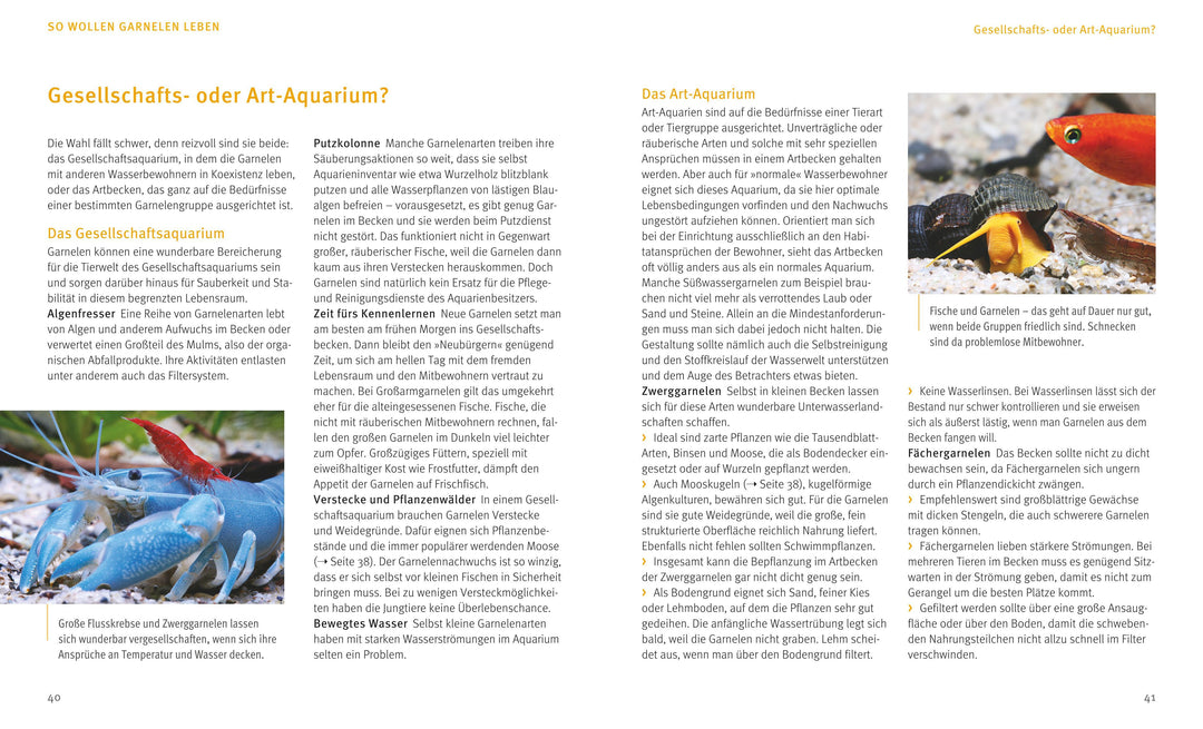 Süßwasser-Garnelen | Pekny, Reinhard | Lukhaup, Chris