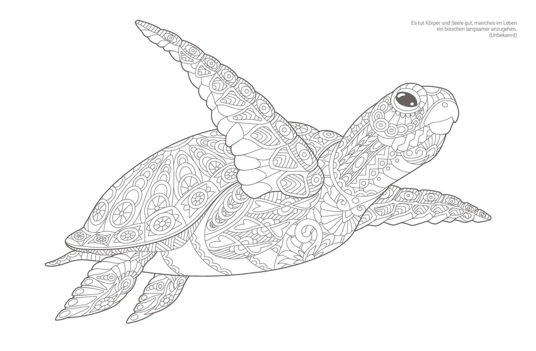 Inspiration Meeresrauschen | 50 Unterwasser-Motive zum Ausmalen, Träumen und...