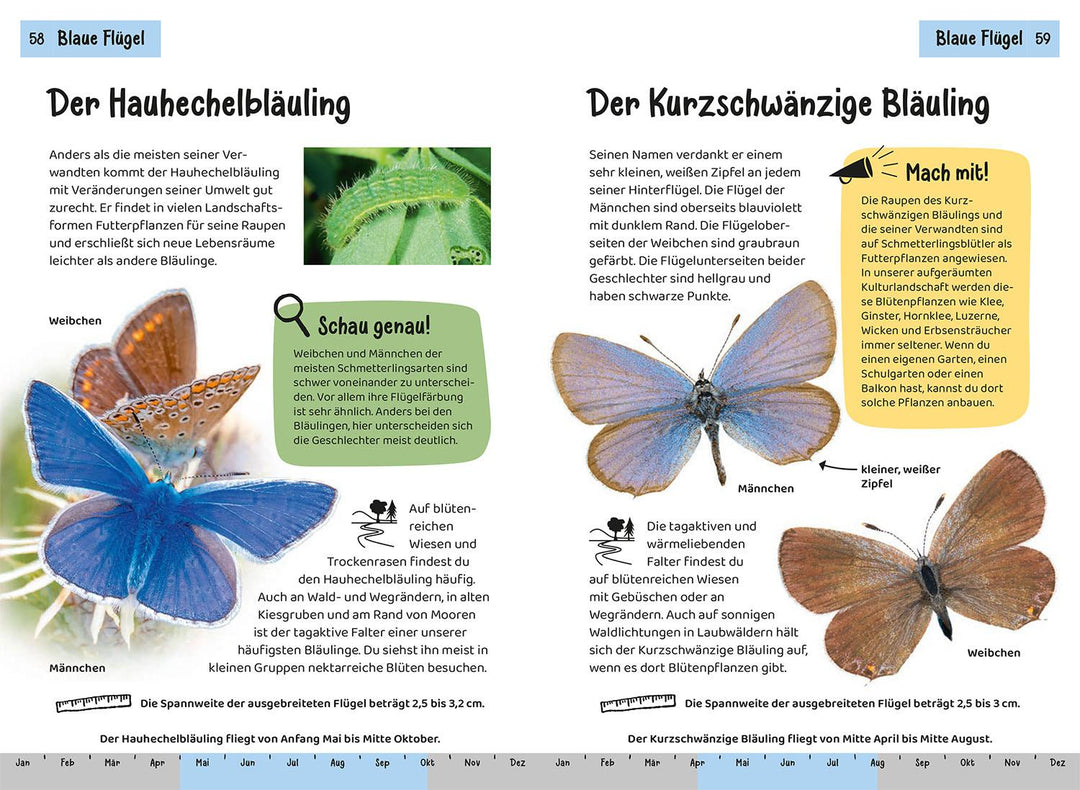 Welcher Schmetterling ist das? Kindernaturführer | Poschadel, Jens