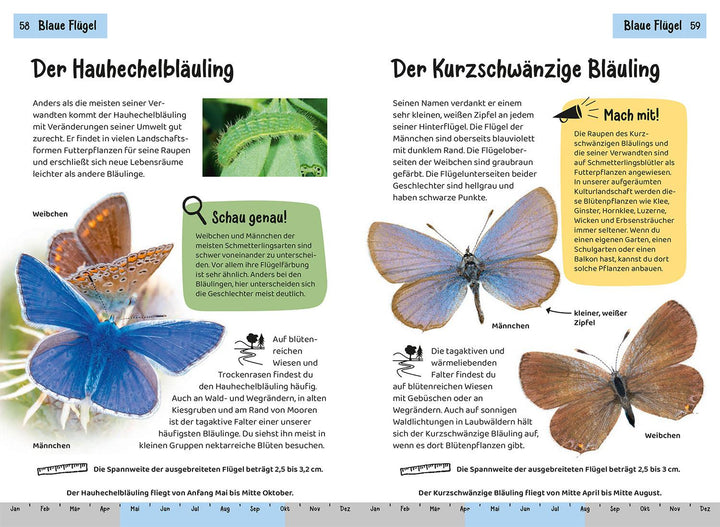 Welcher Schmetterling ist das? Kindernaturführer | Poschadel, Jens