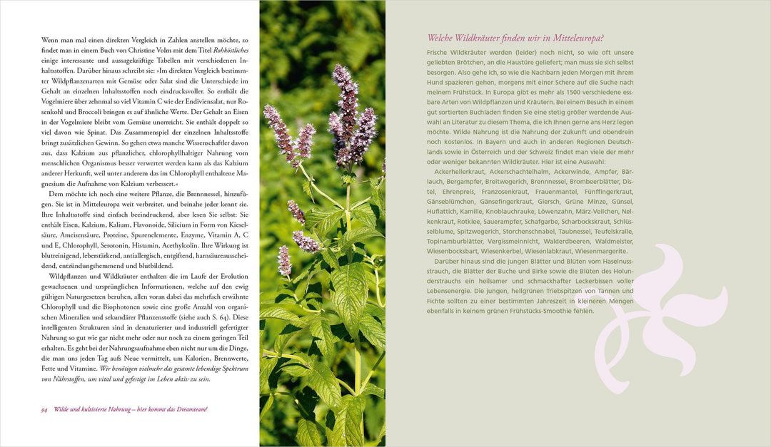 Heilen mit Wildkräutern - Meine Lebensretter aus der Natur | Brosius, Ralf