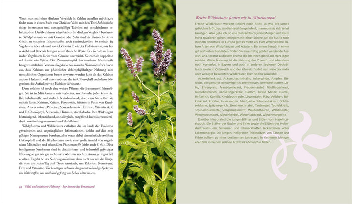 Heilen mit Wildkräutern - Meine Lebensretter aus der Natur | Brosius, Ralf