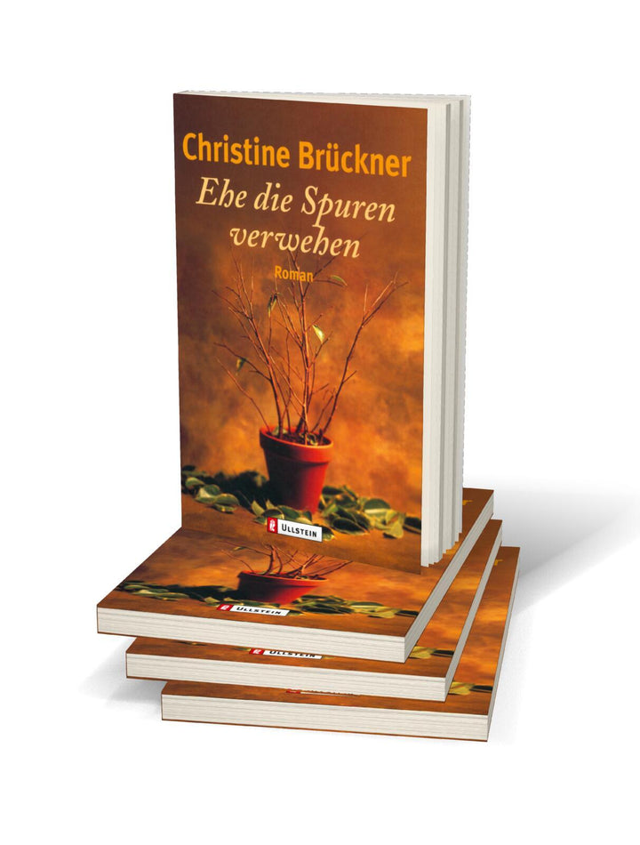 Ehe die Spuren verwehen | Brückner, Christine