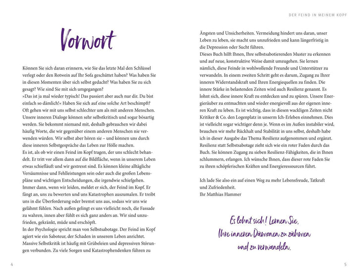 Der Feind in meinem Kopf | Hammer, Matthias