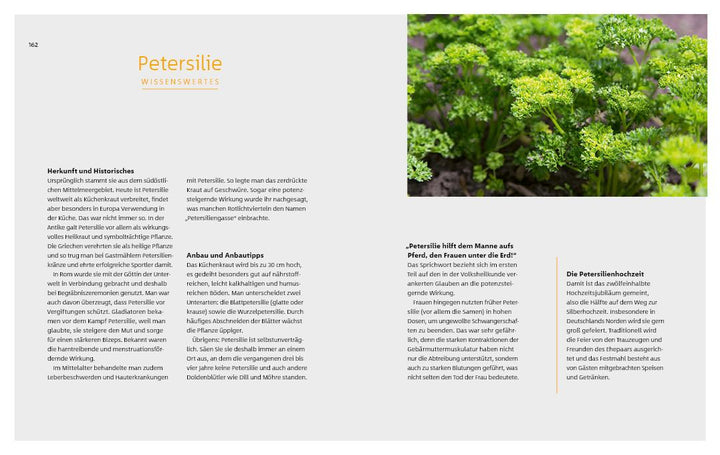 10 Kräuter gegen 100 Krankheiten | Rubin, Franziska | Strigin, Gudrun