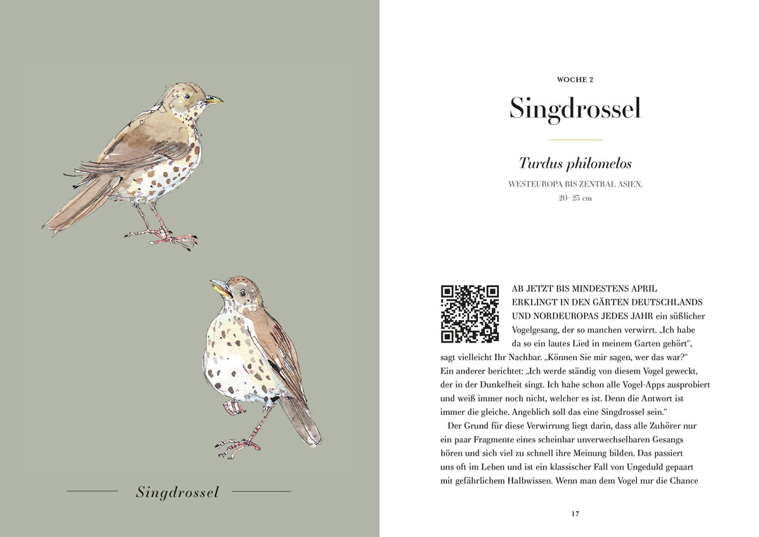 Der Gesang der Vögel | Couzens, Dominic