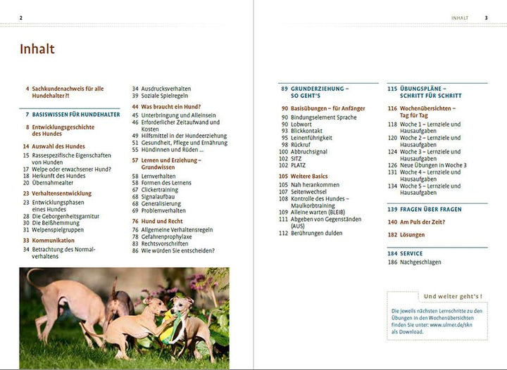 Sachkundenachweis für Hundehalter | Del Amo, Celina