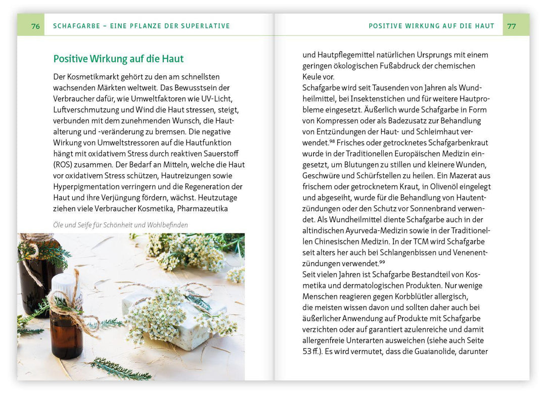 Die Schafgarbe - Alleskönnerin unter den Heilpflanzen | Simonsohn, Barbara