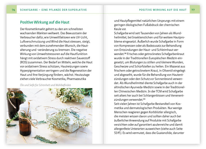 Die Schafgarbe - Alleskönnerin unter den Heilpflanzen | Simonsohn, Barbara