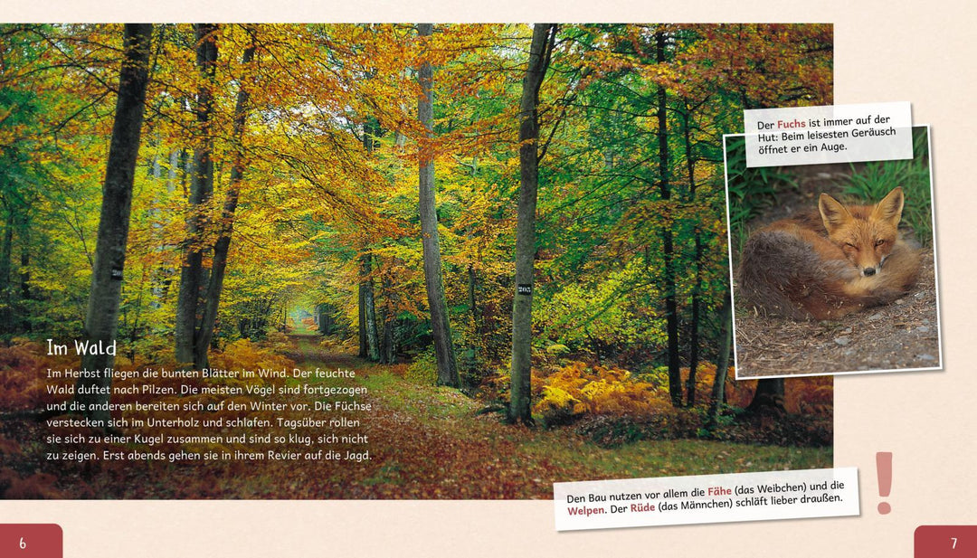 Meine große Tierbibliothek: Der Fuchs | Havard, Christian