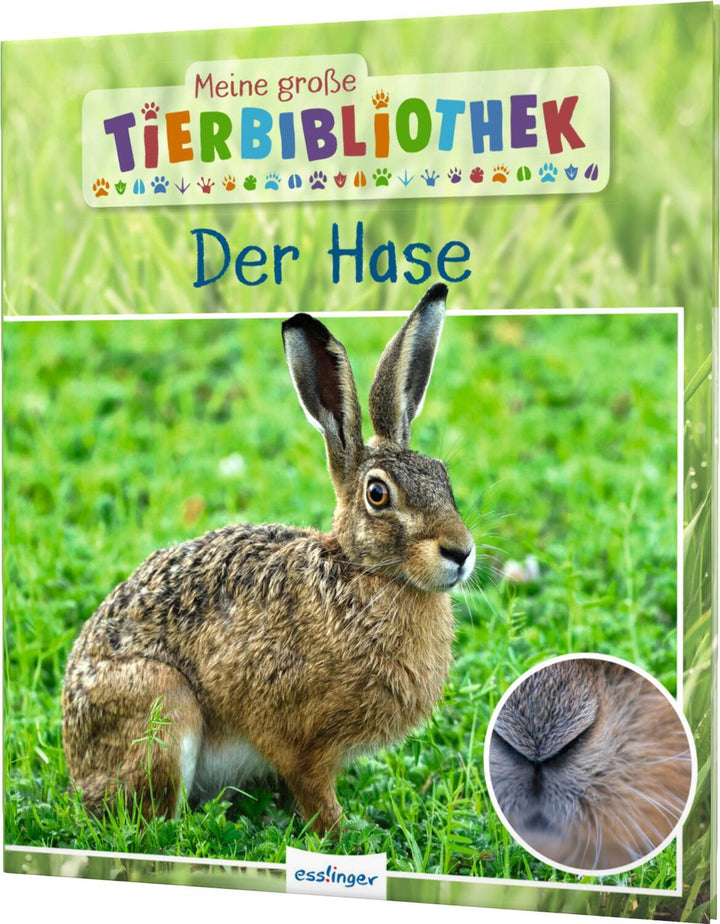 Meine große Tierbibliothek: Der Hase | Poschadel, Jens