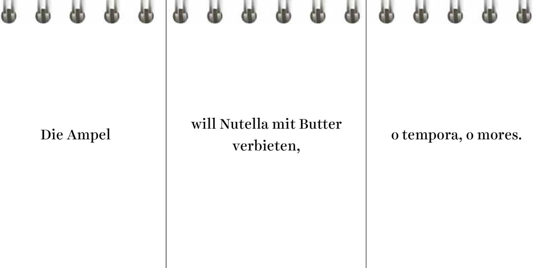 Der Desinformator | Wittkamp, Peter | Frey, Pia
