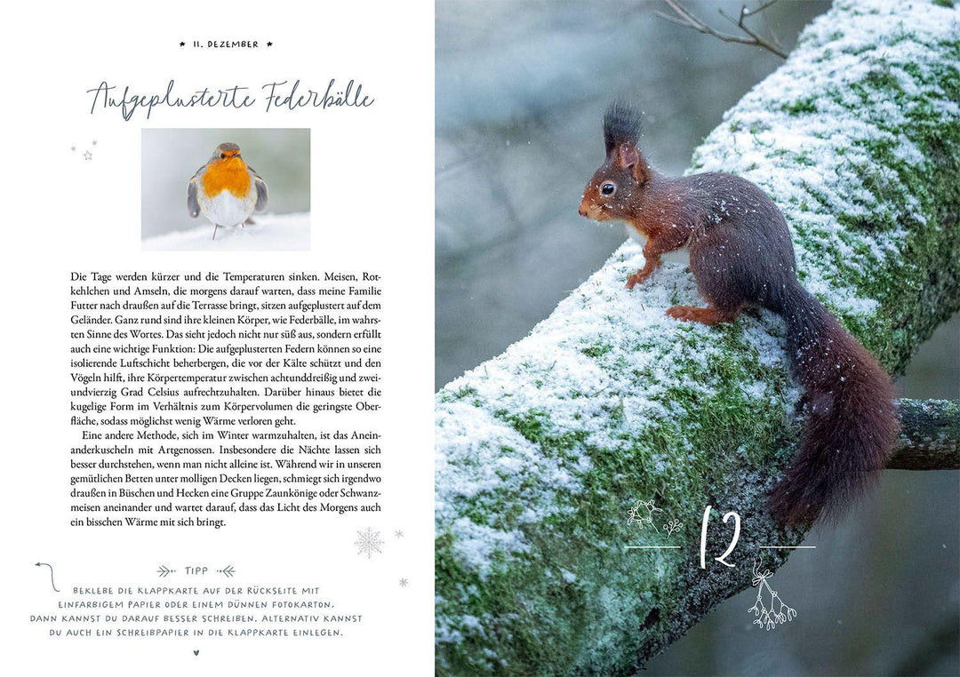 Winter Moments in Nature - der Adventskalender | López, Gamander | López, Una