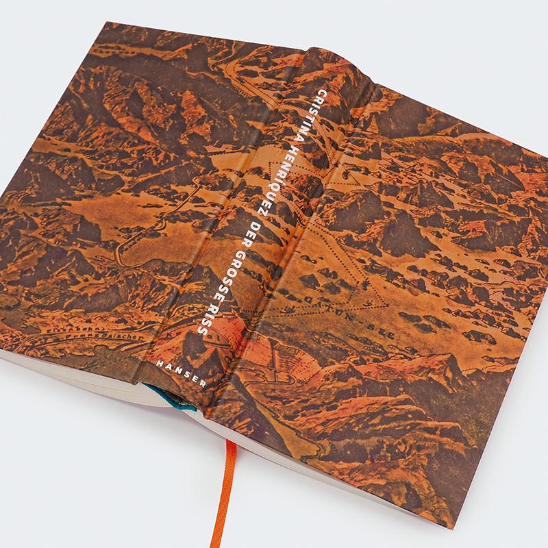 Der große Riss | Henríquez, Cristina