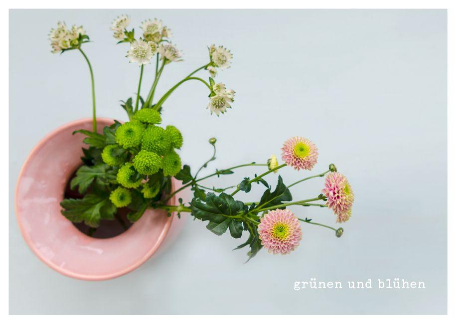 feste feiern - Postkartenbuch | Brall, Stephanie