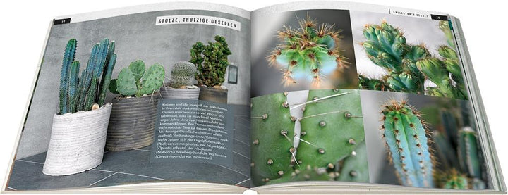Sukkulenten mit Style | Wagener, Klaus | Team BLOOM's