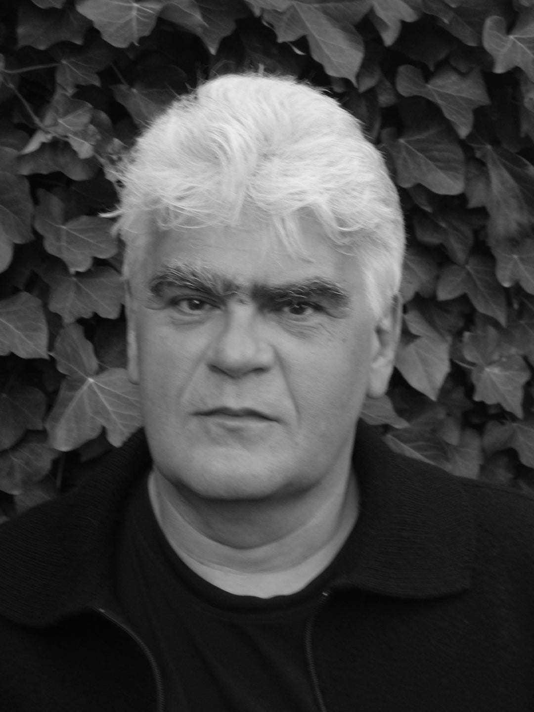 Blake und Mortimer 26: Acht Stunden in Berlin | Bocquet, José-Louis | Fromen...