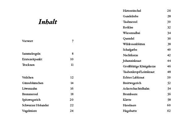 Das kleine Buch: Kräuterwanderung mit Kindern | Scheiblhofer, Ines