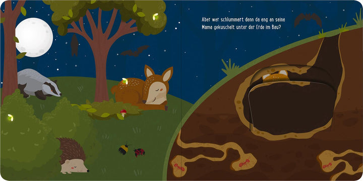 Mein kleines Klappenbuch - Im Wald | -